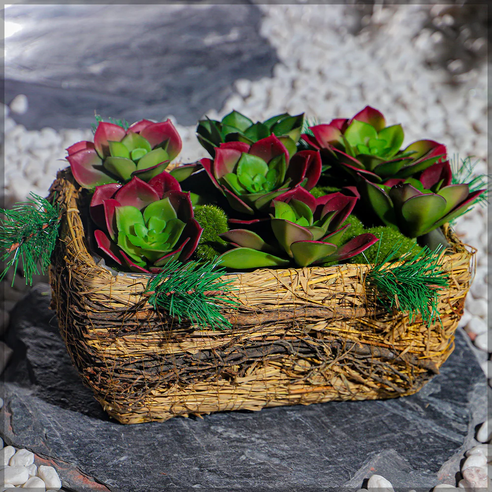 Astonishing Raffia Basket Planter box - Image 6
