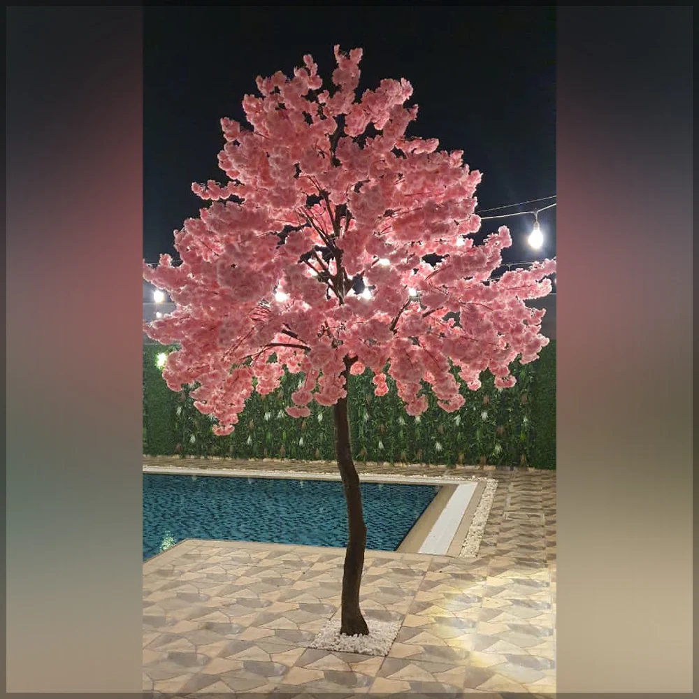 Backyard Plant Decoration Using Nearly Natural Cherry Blossom Plant 3.2 m High and 5M high Palm Tree - Image 4