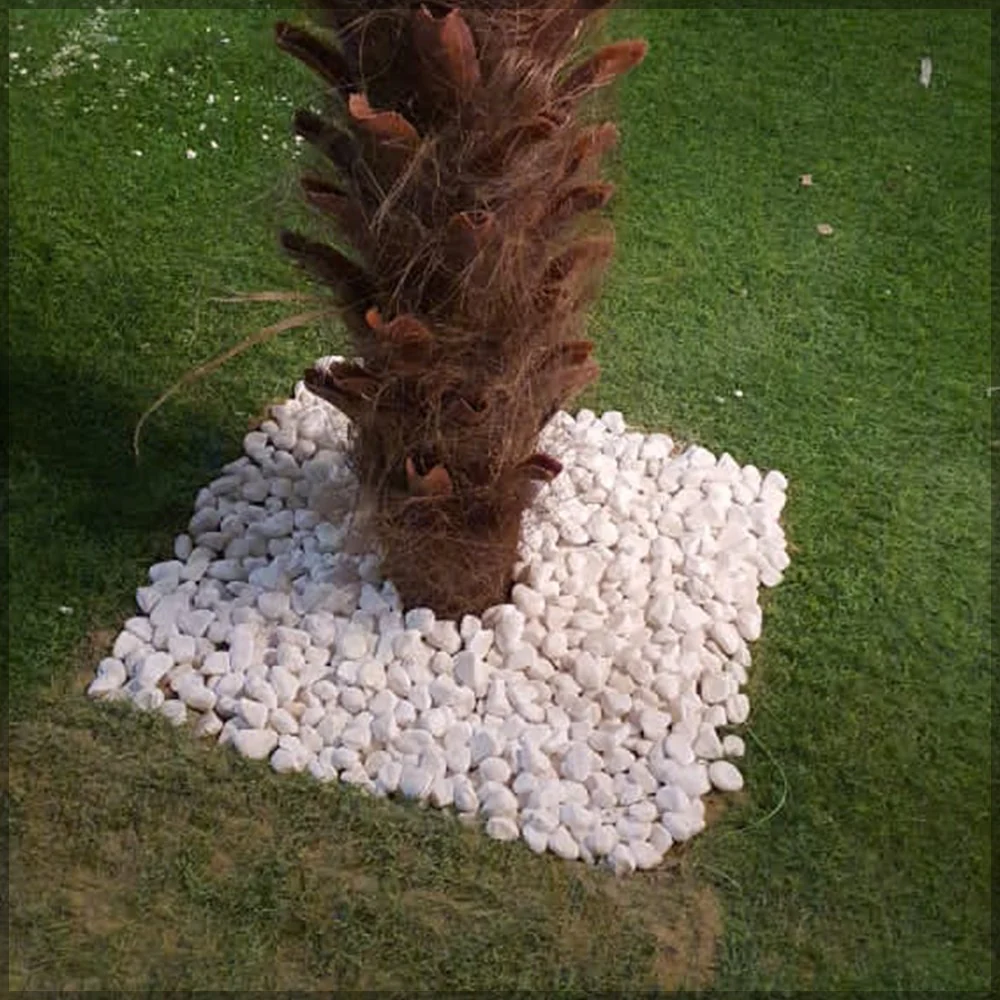 Backyard Plant Decoration Using Nearly Natural Cherry Blossom Plant 3.2 m High and 5M high Palm Tree - Image 7