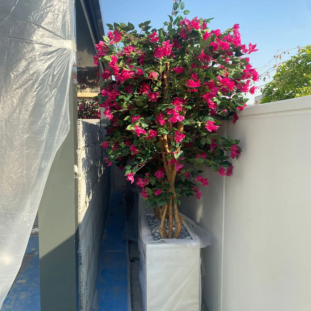 Bougainvillea Terrace Border for display purposes only (non-sale) - Image 4