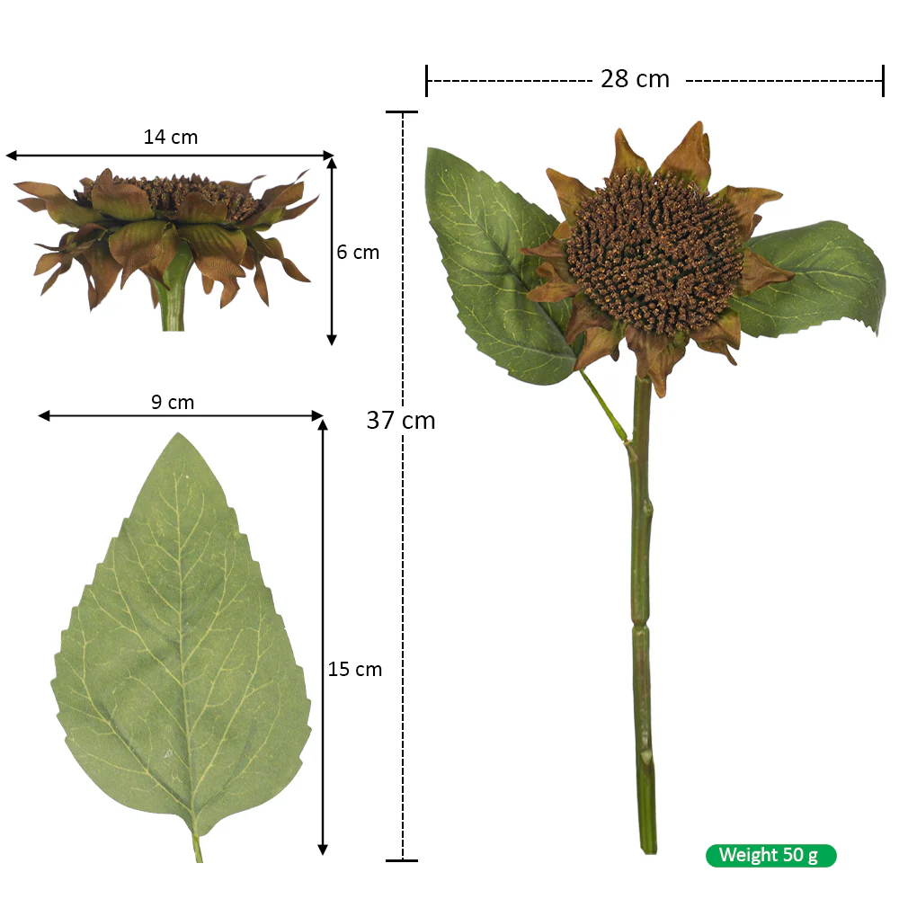 Brown Sunflower Stem(without vase) - Image 2