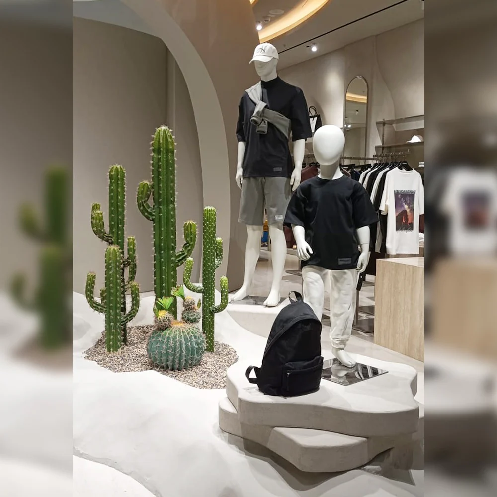Cactus Decoration for Shop Display for display purposes only (non-sale) - Image 4