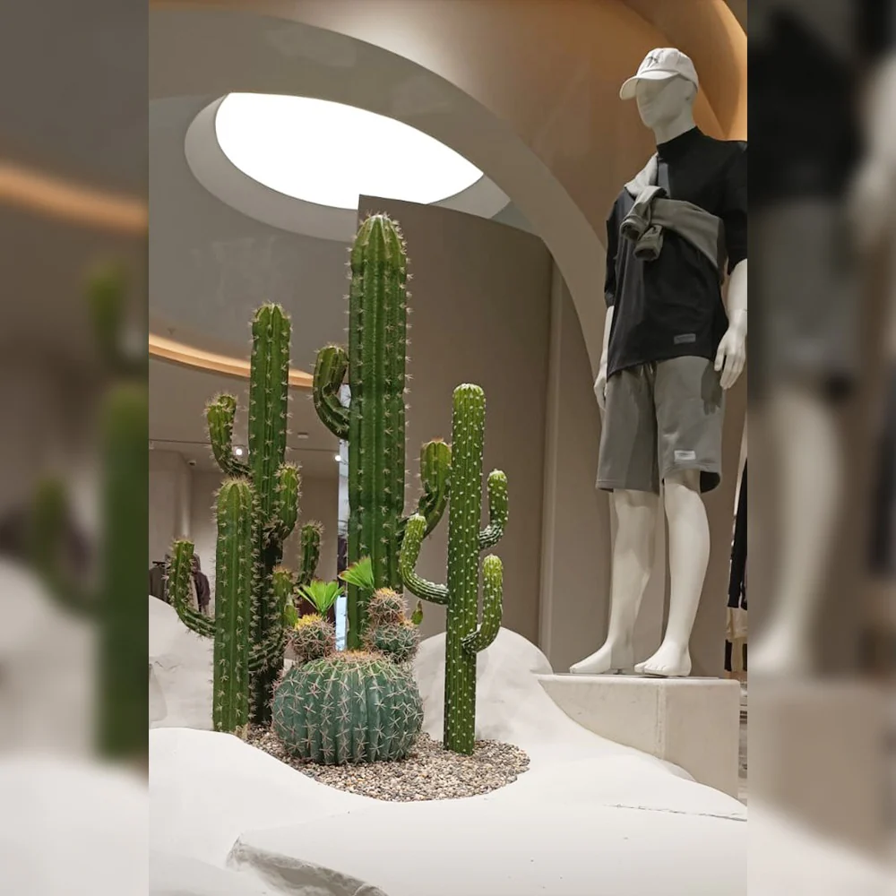 Cactus Decoration for Shop Display for display purposes only (non-sale) - Image 5