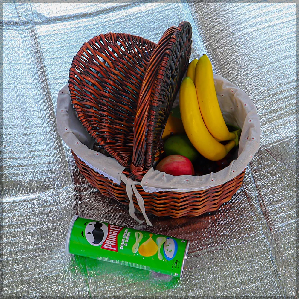 Camping Basket(without accessories)