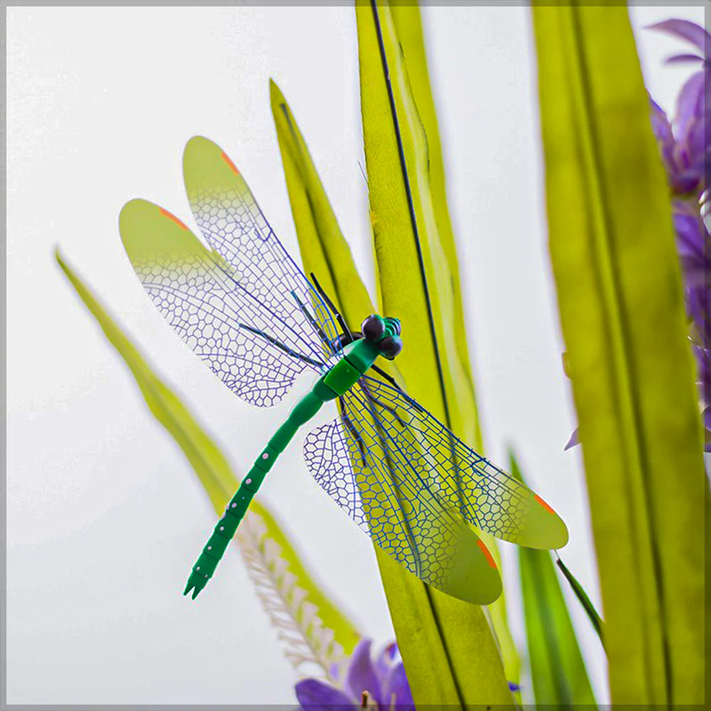 Colorful Dragonfly on Sticks-dragonfly - Image 10