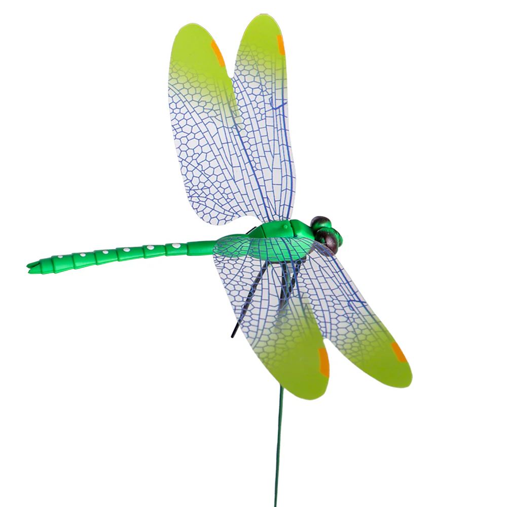 Colorful Dragonfly on Sticks-dragonfly - Image 11