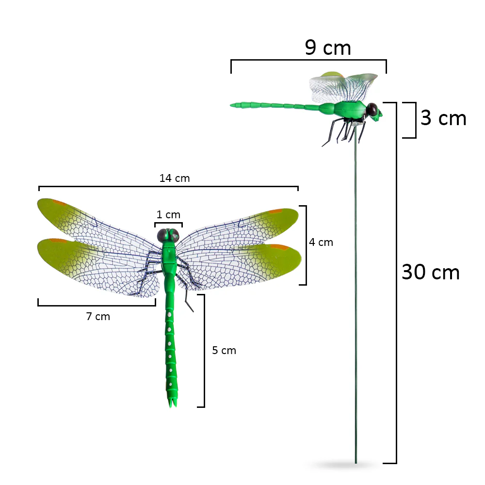 Colorful Dragonfly on Sticks-dragonfly - Image 12
