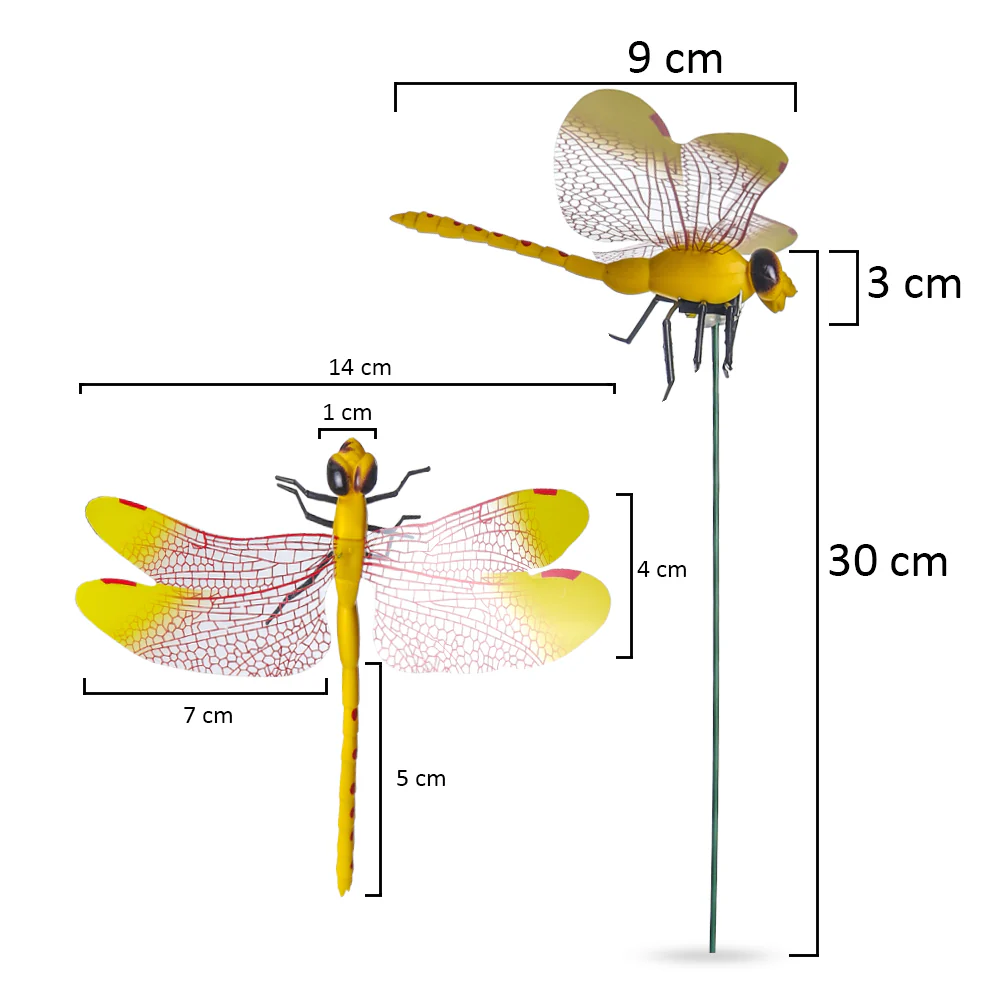 Colorful Dragonfly on Sticks-dragonfly - Image 2