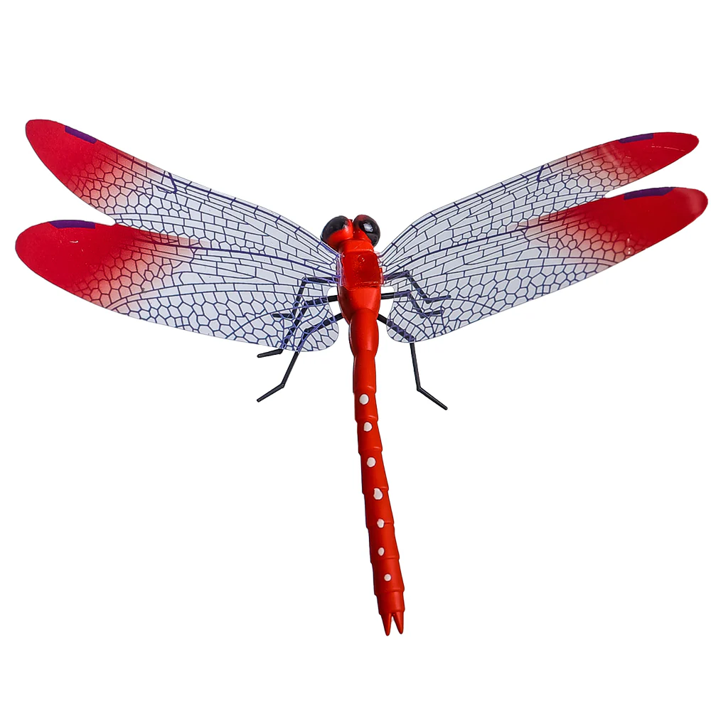 Colorful Dragonfly on Sticks-dragonfly - Image 5