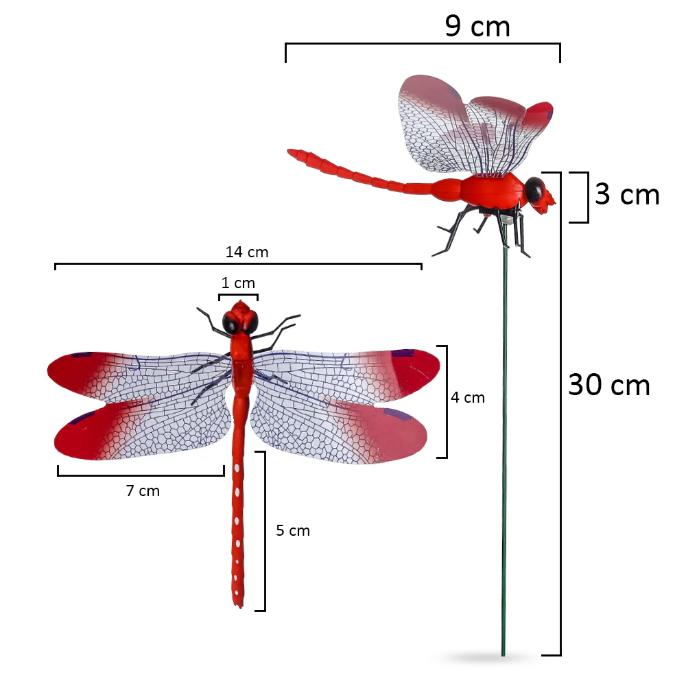 Colorful Dragonfly on Sticks-dragonfly - Image 6