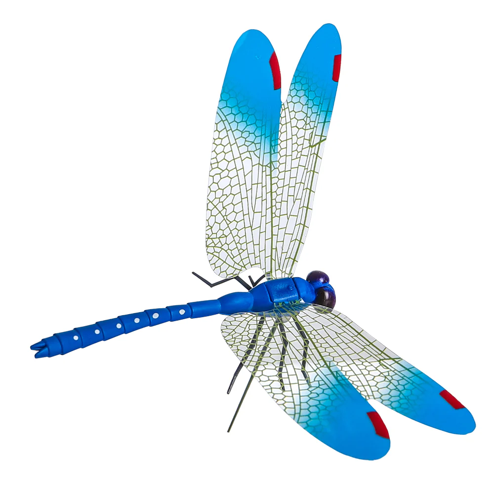 Colorful Dragonfly on Sticks-dragonfly - Image 8