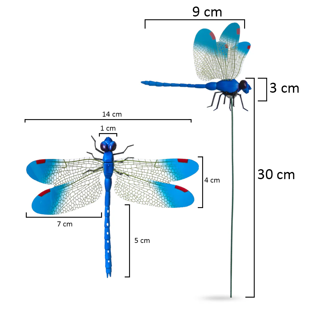 Colorful Dragonfly on Sticks-dragonfly - Image 9