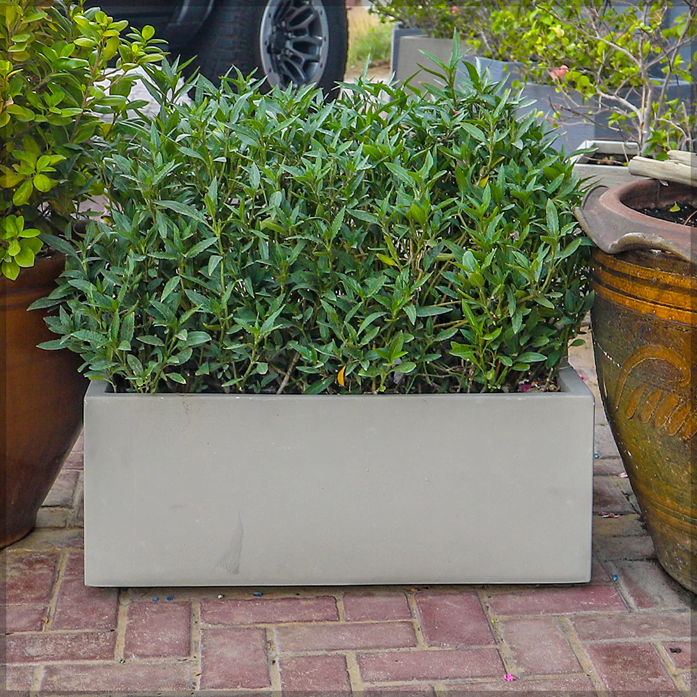 Concrete Long Trough Planter - Image 4