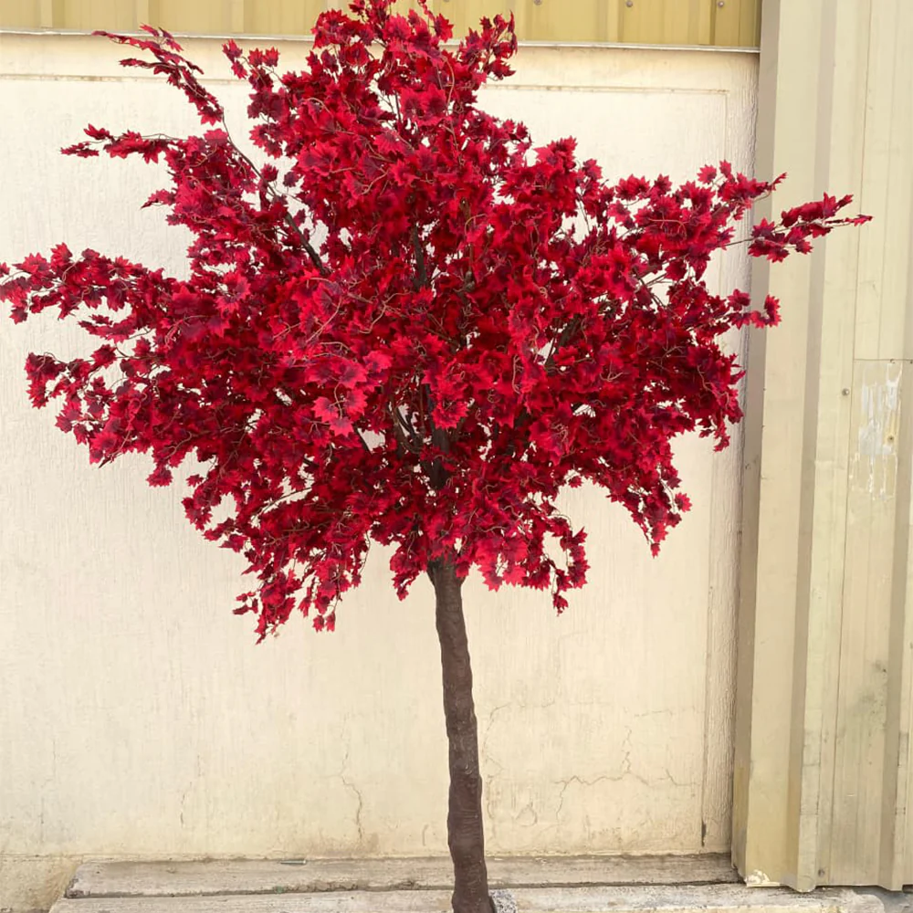 Crimson Elegance 🌿❤️