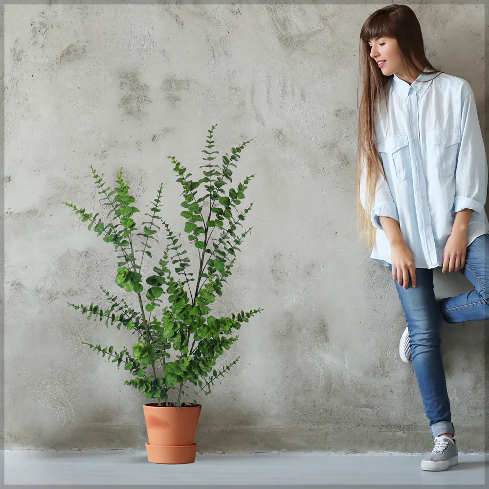 Decorative Artificial Eucalyptus Plant 120cm Tall(with black nursery pot) - Image 7