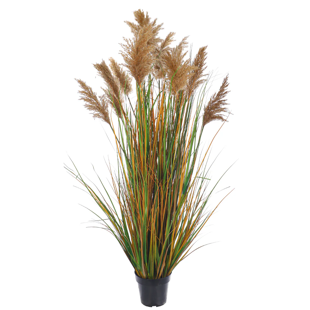 Decorative Artificial Grass Plant with Natural Dried Pampas Flower - Image 2