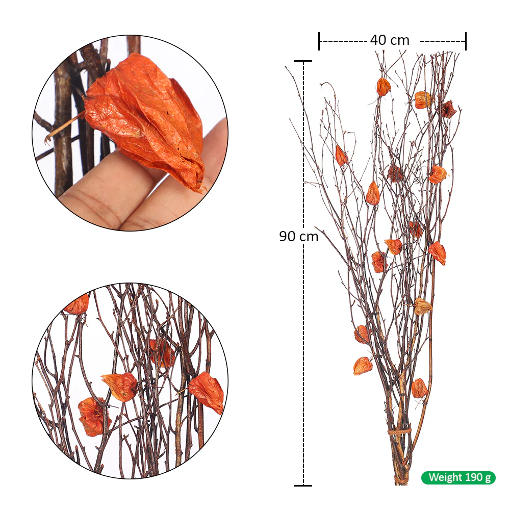 Decorative Dried Physalis Branch Bundle - Image 2