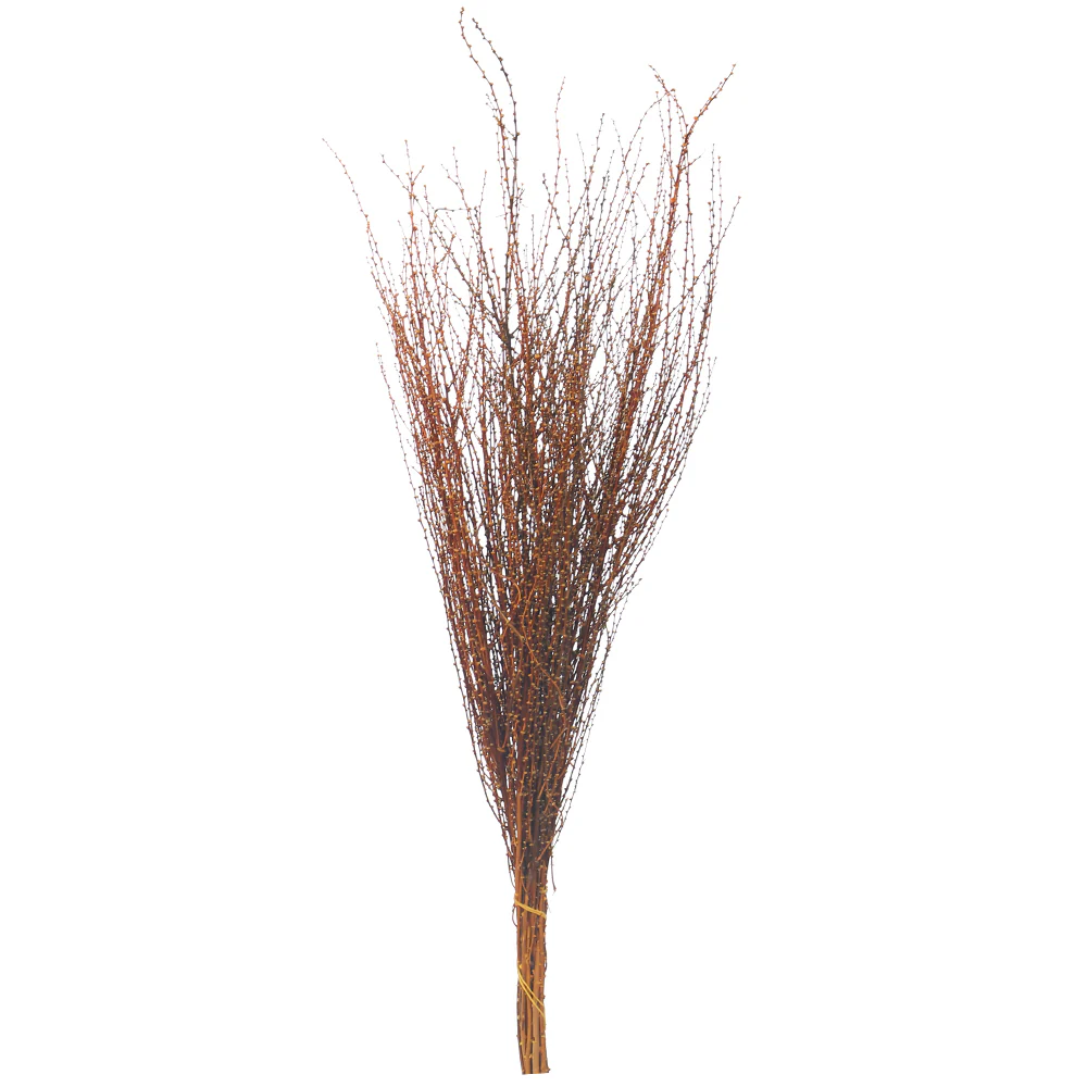 Decorative Dried Snow Grass(without vase) - Image 9