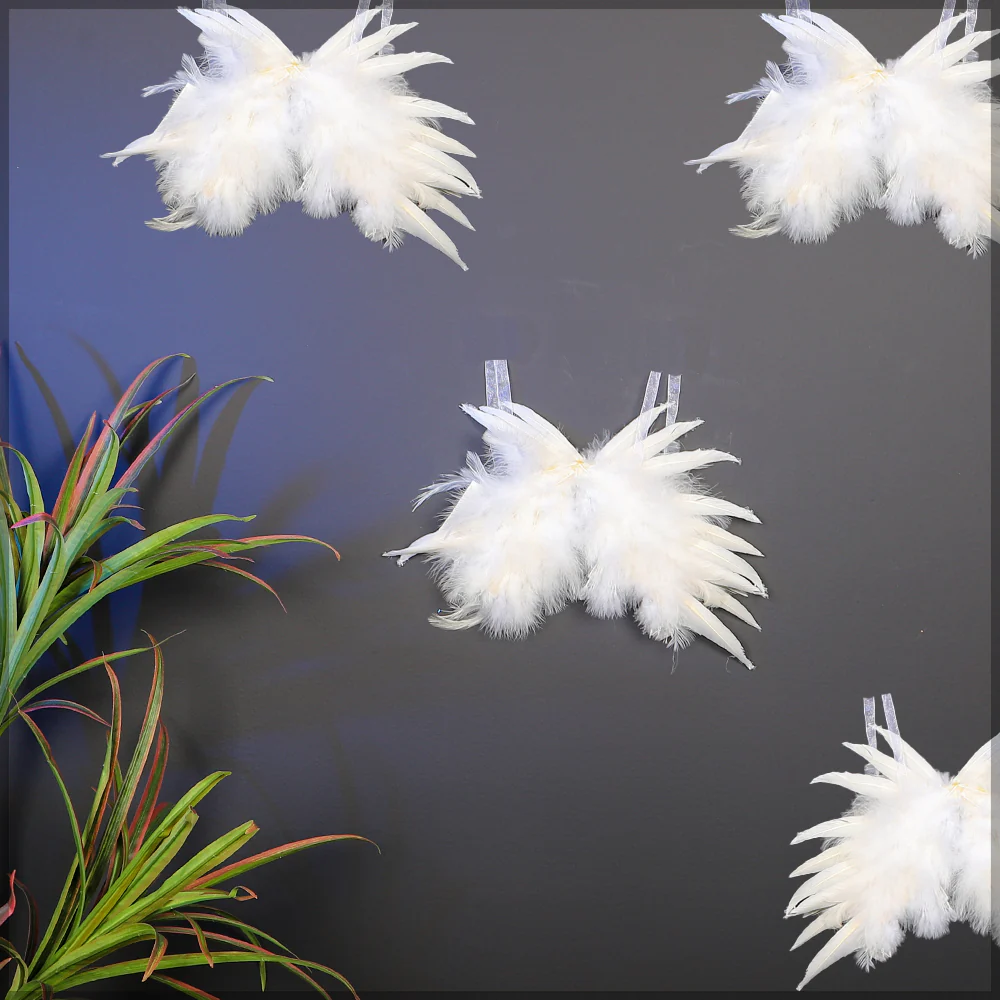 Decorative Fancy Real Feathers - Image 4