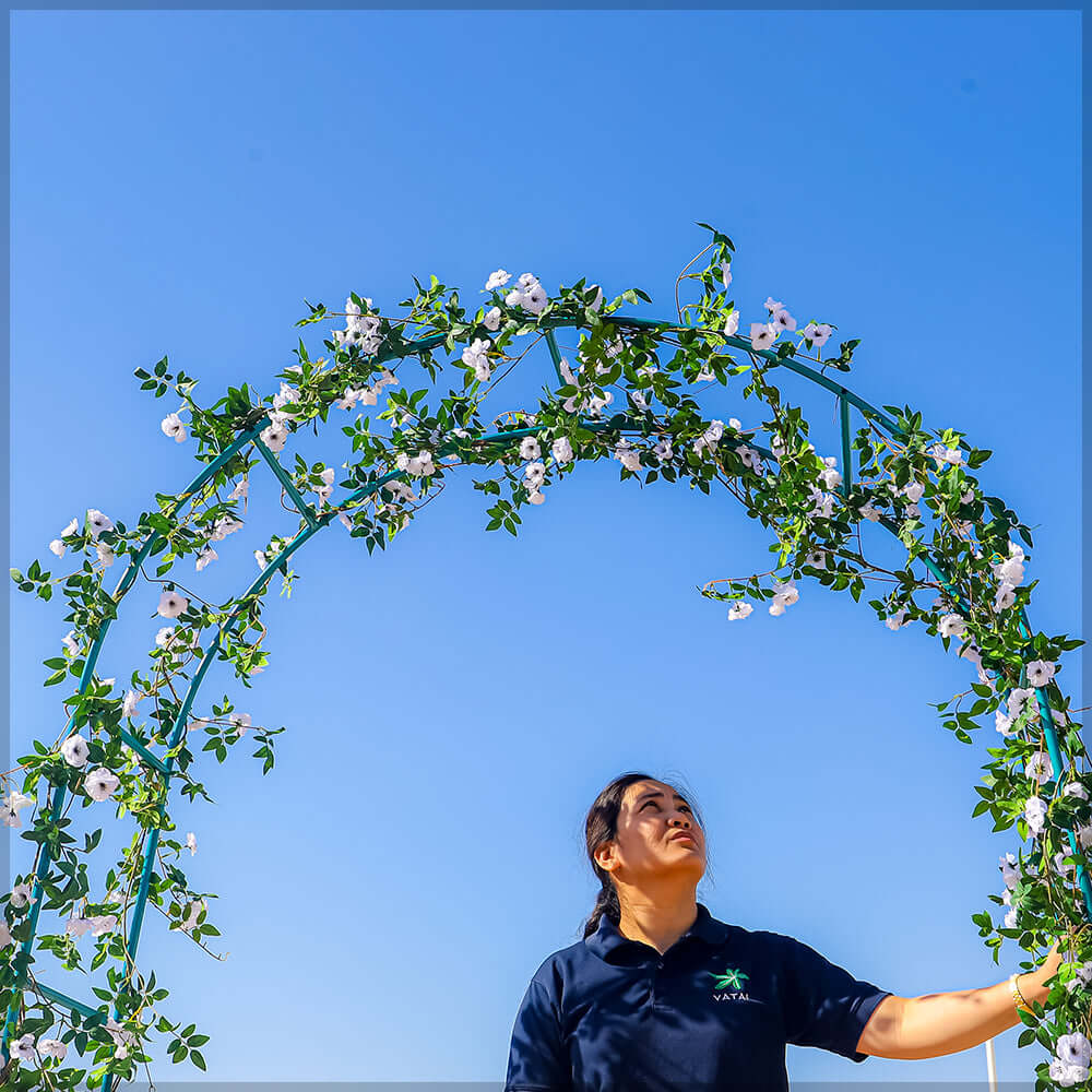 1 Piece Decorative Garden Arch (Arch Only) - Image 7