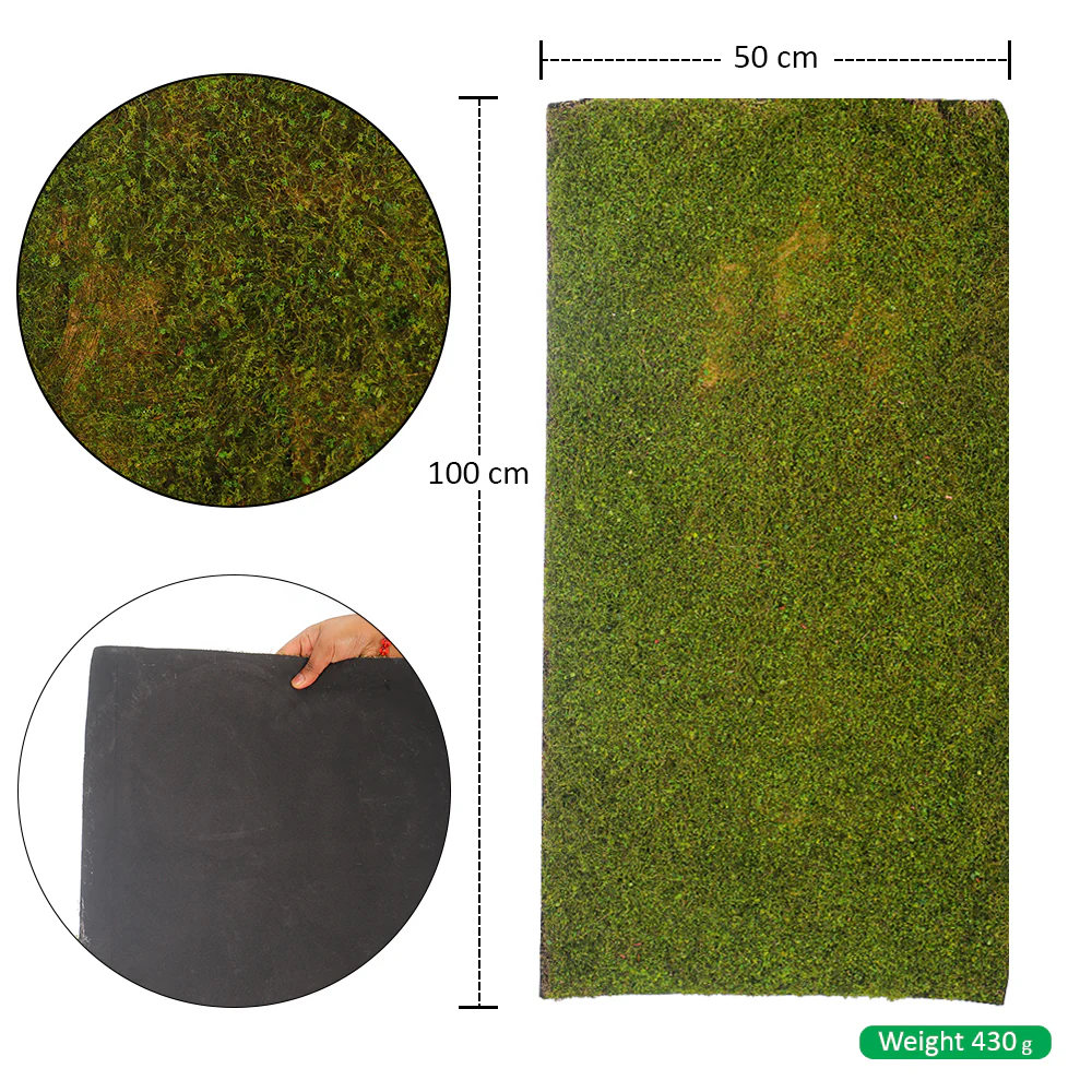 Decorative Moss Mat - Image 2