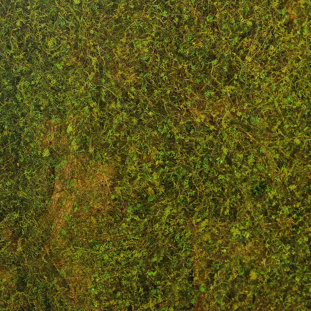 Decorative Moss Mat - Image 3