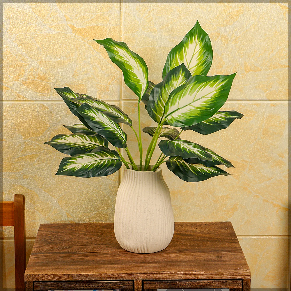 Dieffenbachia Leaves - Image 3