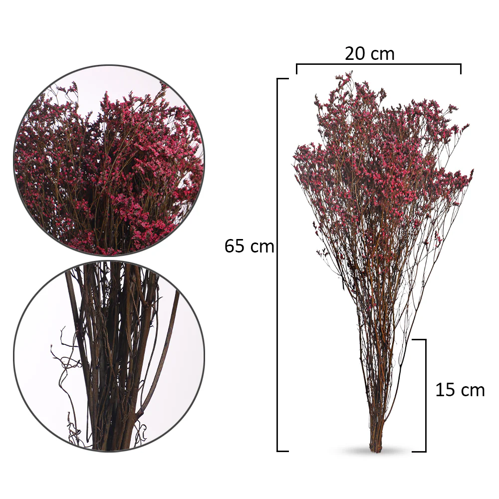 Dried Crystal Grass(without vase) - Image 14
