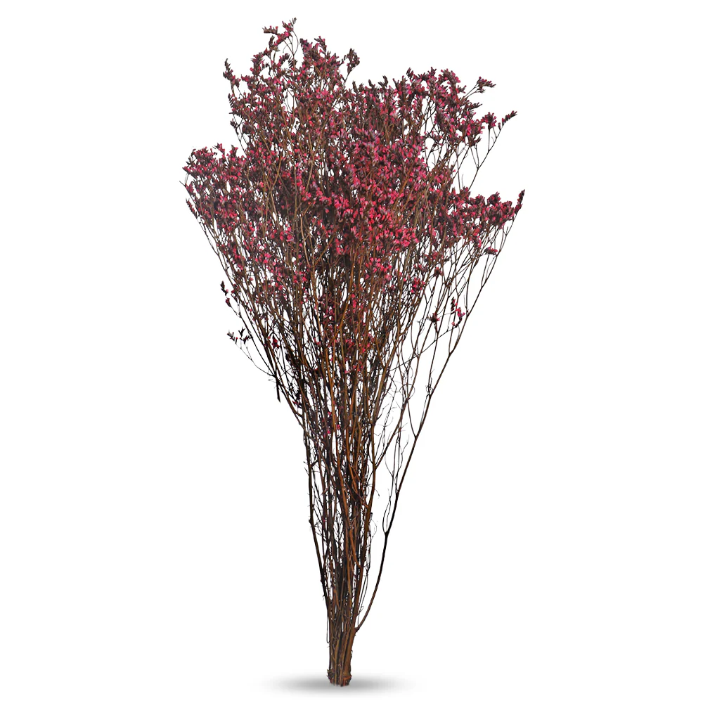 Dried Crystal Grass(without vase) - Image 15