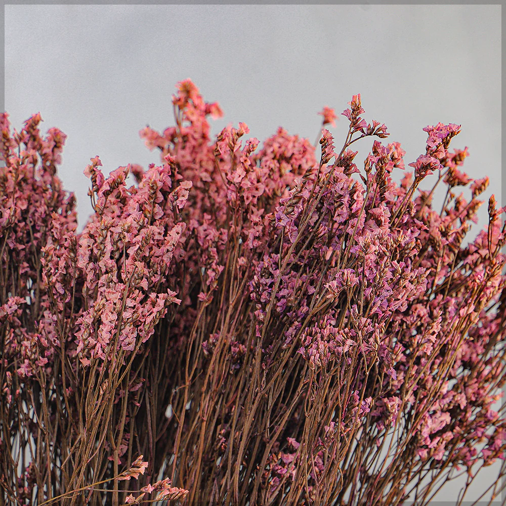 Dried Crystal Grass(without vase) - Image 18