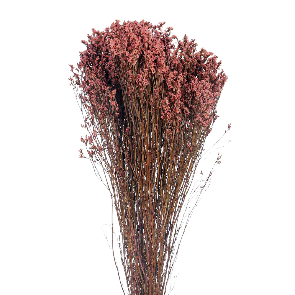 Dried Crystal Grass(without vase) - Image 19