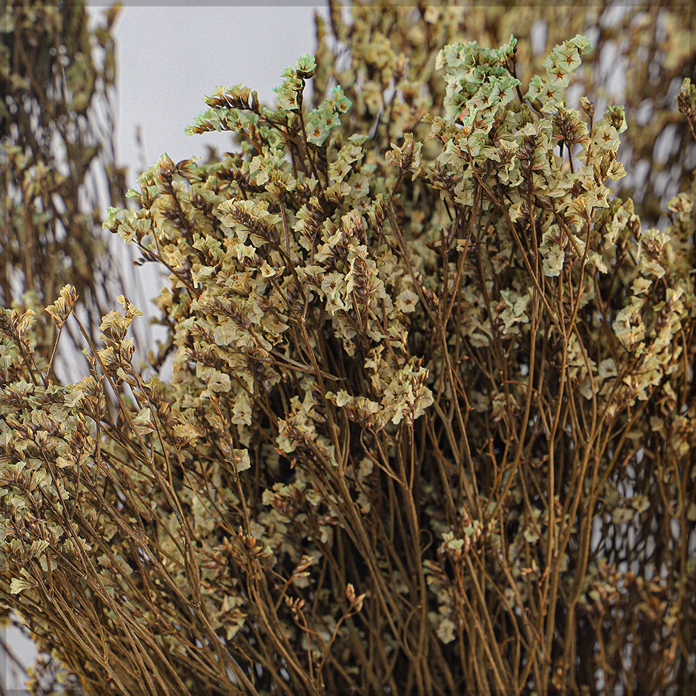 Dried Crystal Grass(without vase) - Image 22