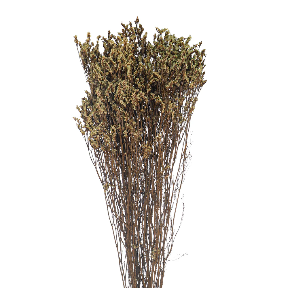 Dried Crystal Grass(without vase) - Image 23