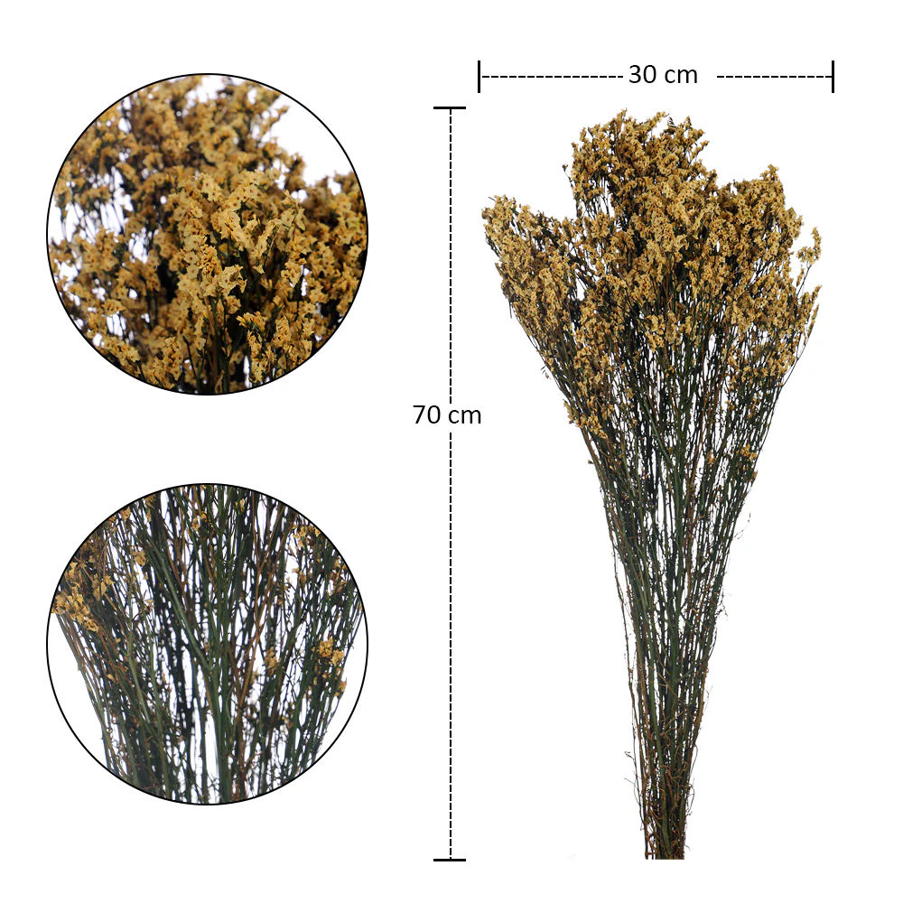 Dried Crystal Grass(without vase) - Image 25