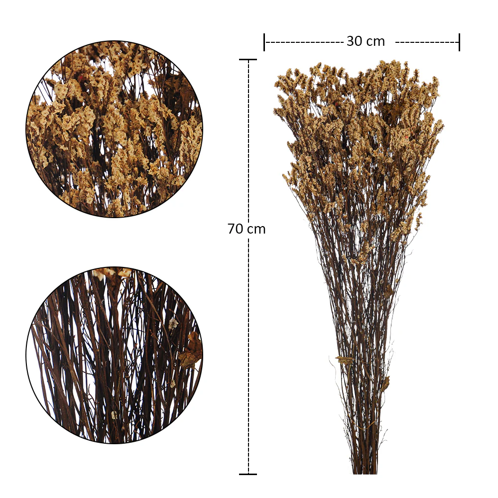 Dried Crystal Grass(without vase) - Image 29