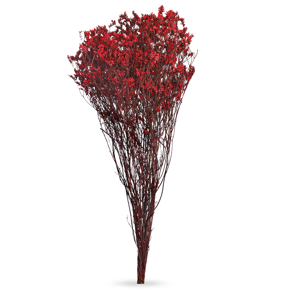 Dried Crystal Grass(without vase) - Image 3