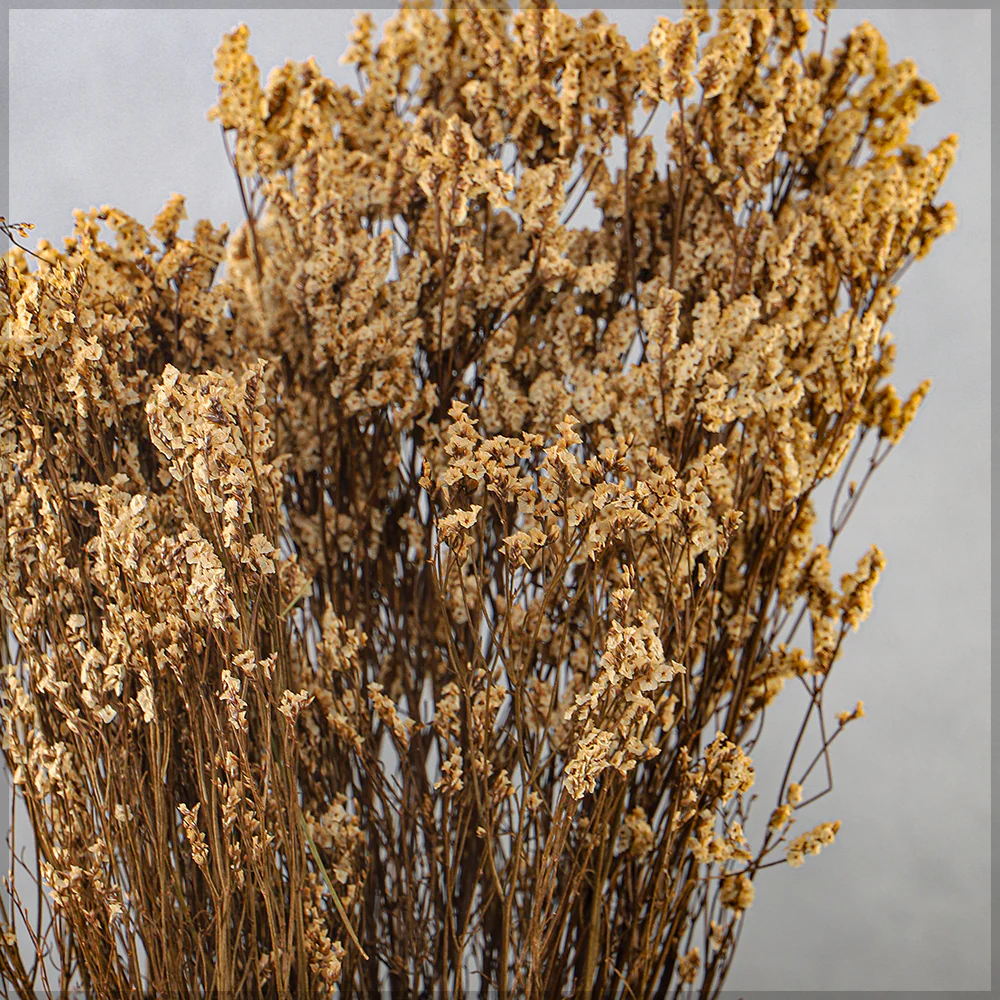 Dried Crystal Grass(without vase) - Image 30