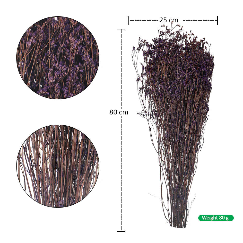 Dried Crystal Grass(without vase) - Image 33