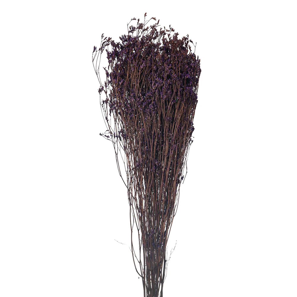 Dried Crystal Grass(without vase) - Image 34