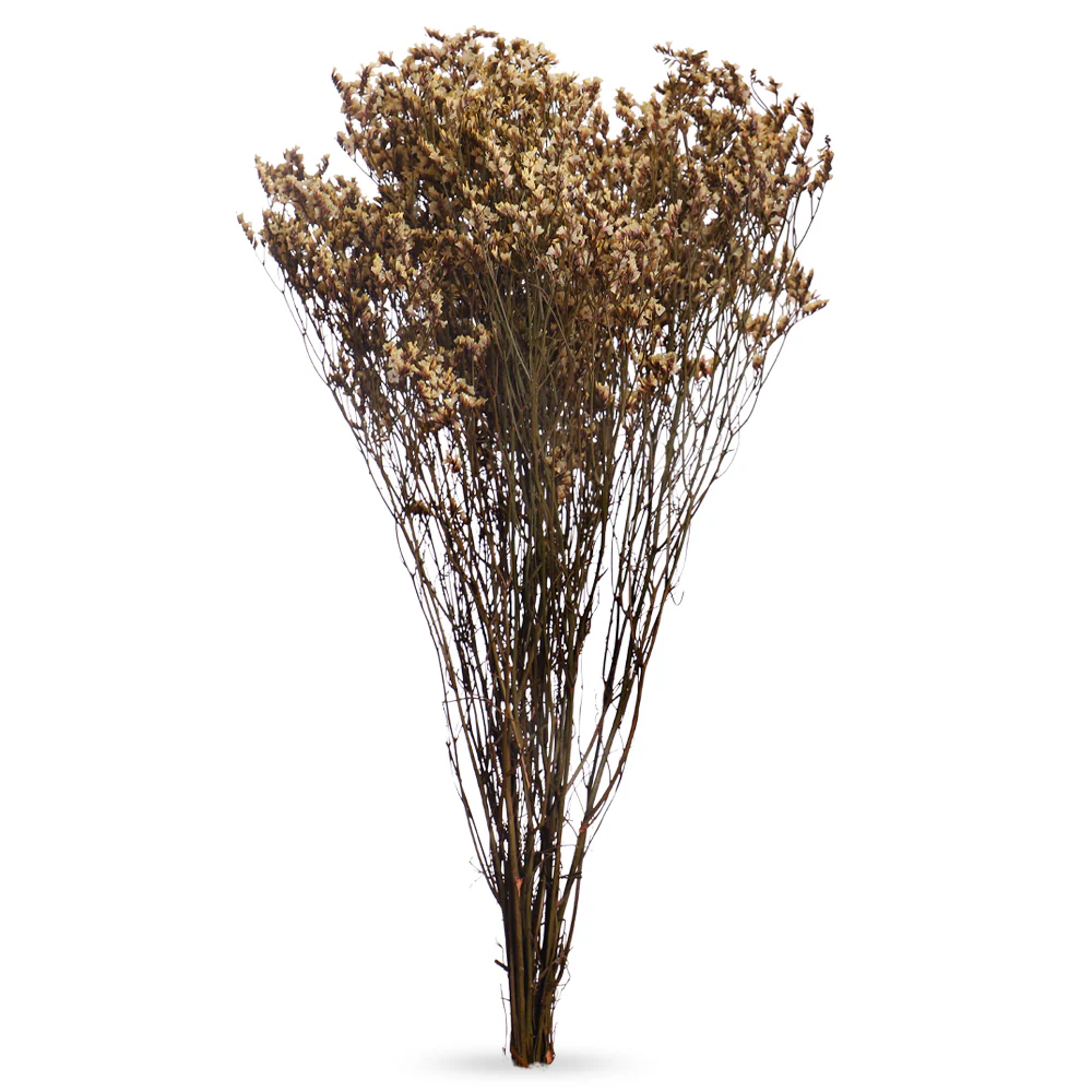 Dried Crystal Grass(without vase) - Image 6