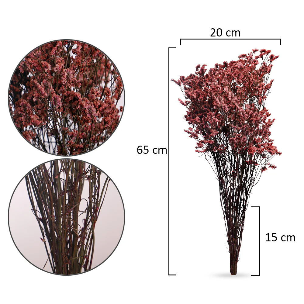 Dried Crystal Grass(without vase) - Image 8