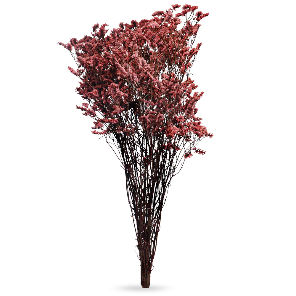 Dried Crystal Grass(without vase) - Image 9