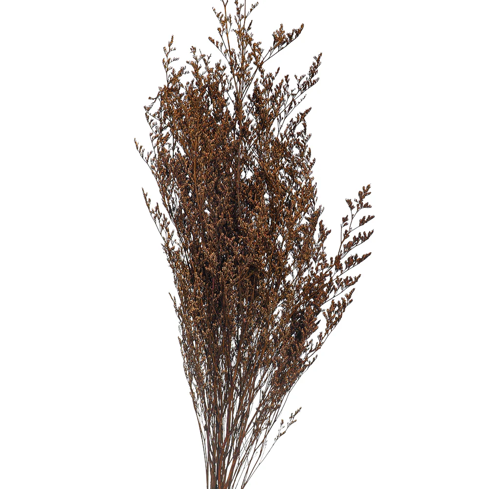 Dried German Statice Flower(without vase) - Image 4