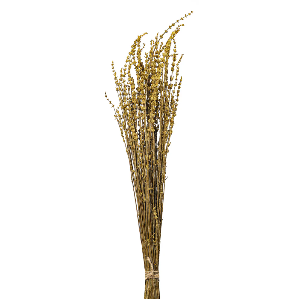 Dried Lavender Flowers(without vase) - Image 7