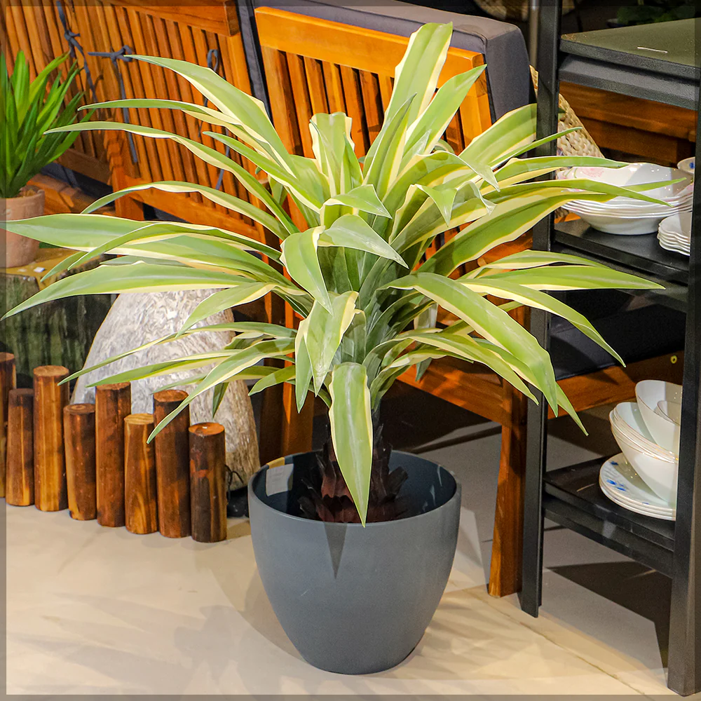 Elegant Gray Plastic Pots - Image 4