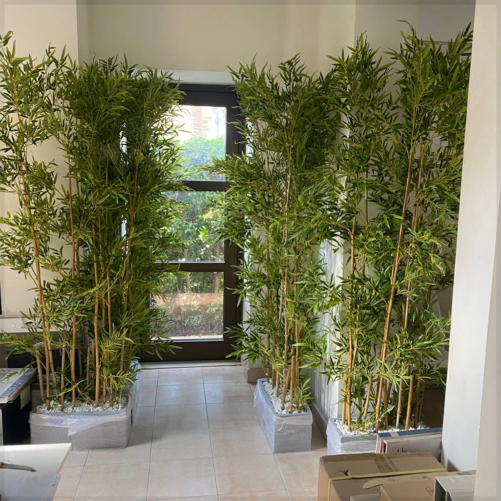 Elegant Indoor Bamboo Planters for Natural Privacy for display purposes only (non-sale)