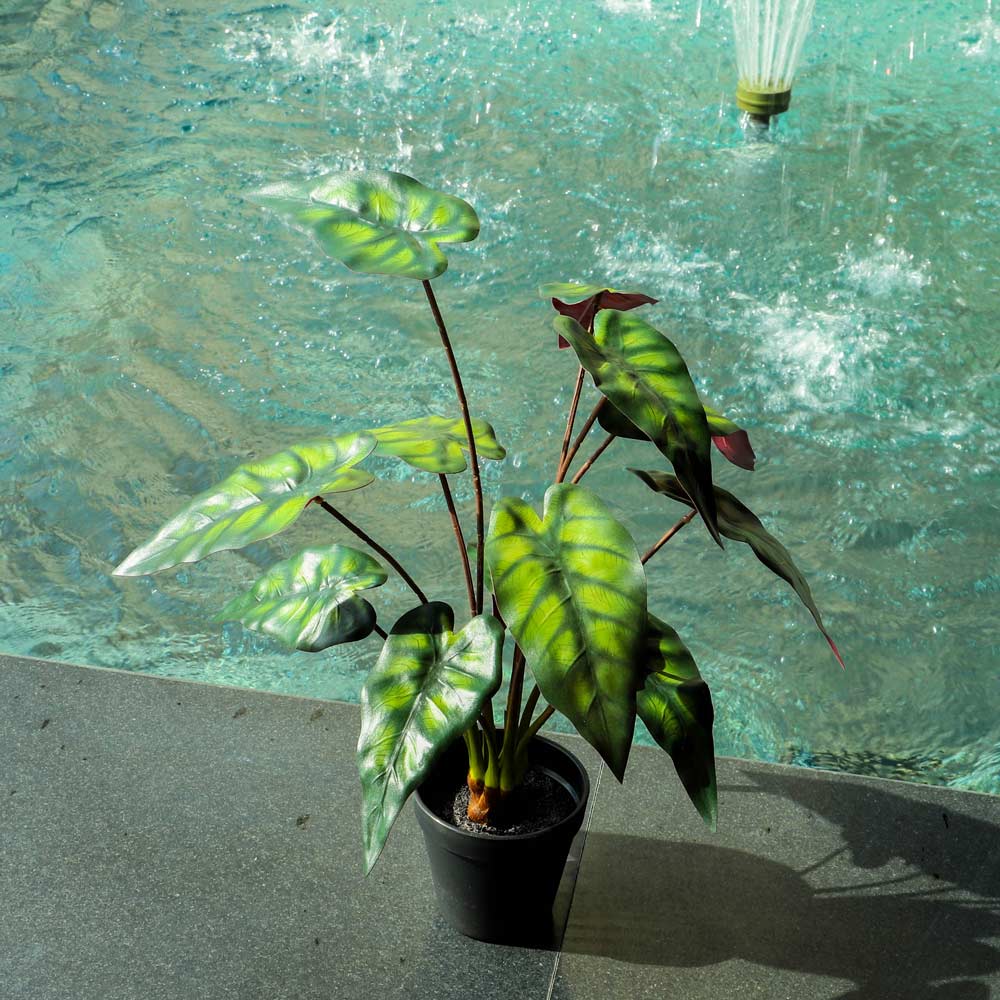 Fake Alocasia Polly Plant - Image 8