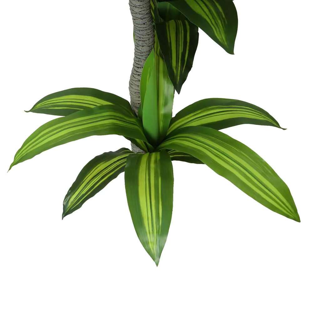 Fake Dracaena Massangeana Plant 3 Rods - Image 5
