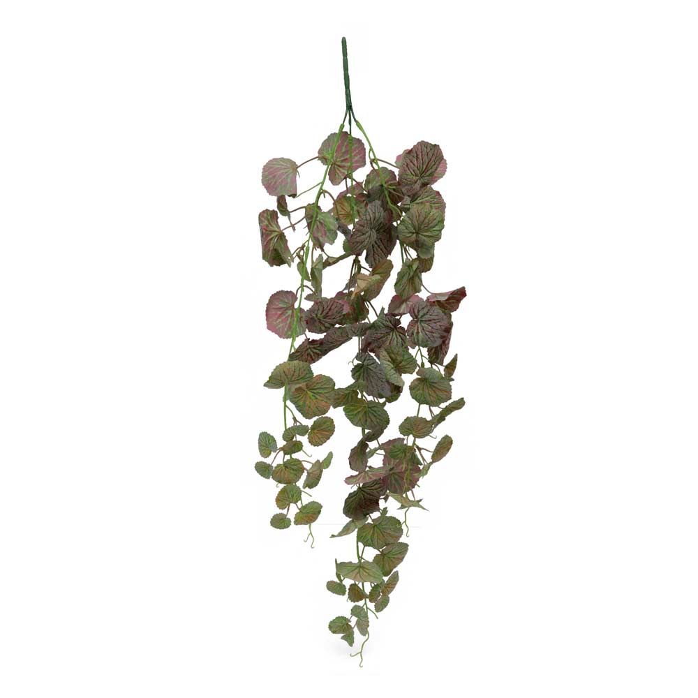 Fake Leaf Geranium Hanging Single Bush Plant - Image 15