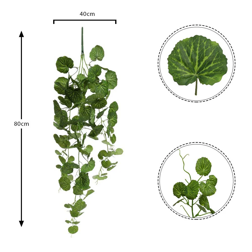 Fake Leaf Geranium Hanging Single Bush Plant - Image 2